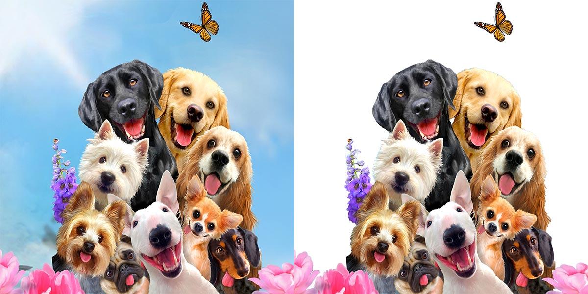 I will edit photos and remove back ground within two days 