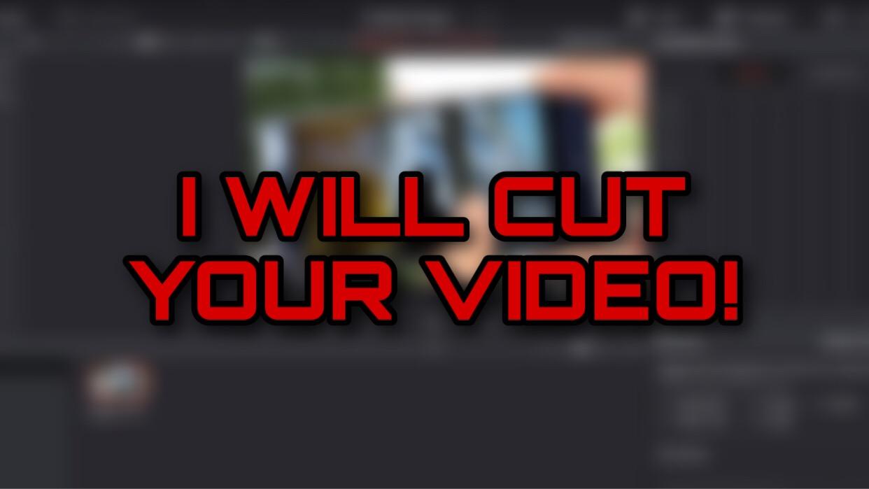 I will edit YOUR video with a professional software!