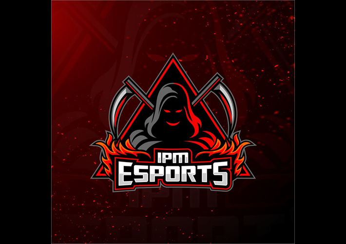 I will design esports, twitch gaming and mascot logo