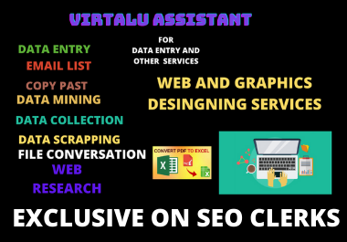 I will provide all kind professional virtual assistant service
