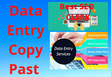 I can do Data Entry Copy Past Work