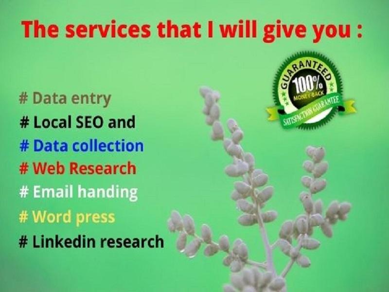 I will be your best virtual assistant website, virtual pa, real state, administrative assistant