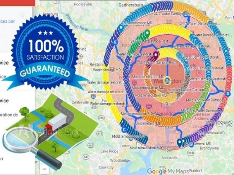 I will do 9000 local SEO citations for the US and other countries