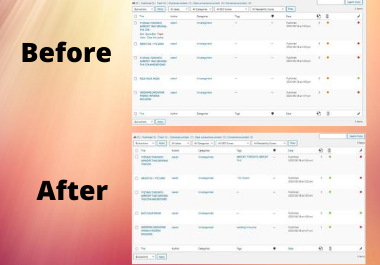 OnPage SEO and Technical SEO of Wordpress WebSite