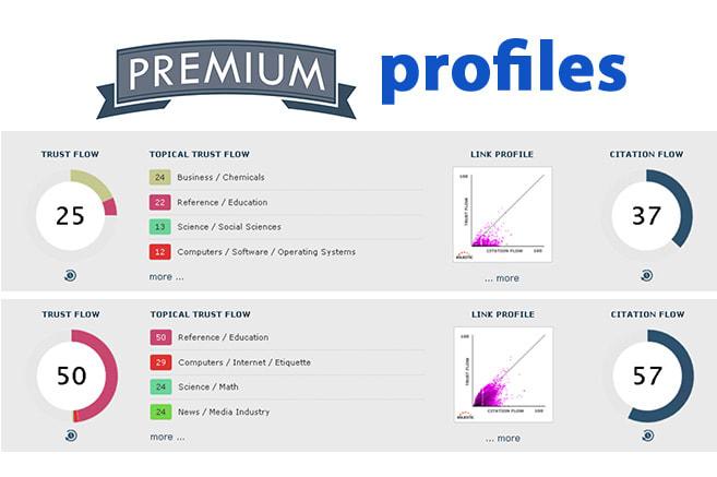 I will build high authority profiles backlinks SEO