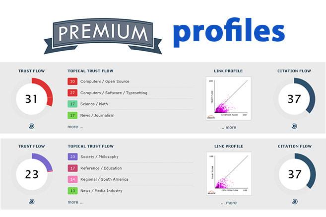 I will build high authority profiles backlinks SEO