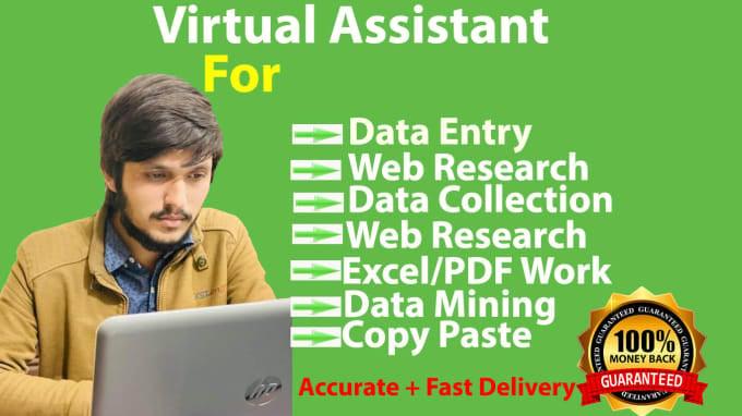 I will your virtual assistant for data entry, web research, data collection, copy paste