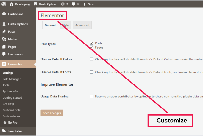 I Will Develop Wordpress Website Using Astra and Elementor Pro 