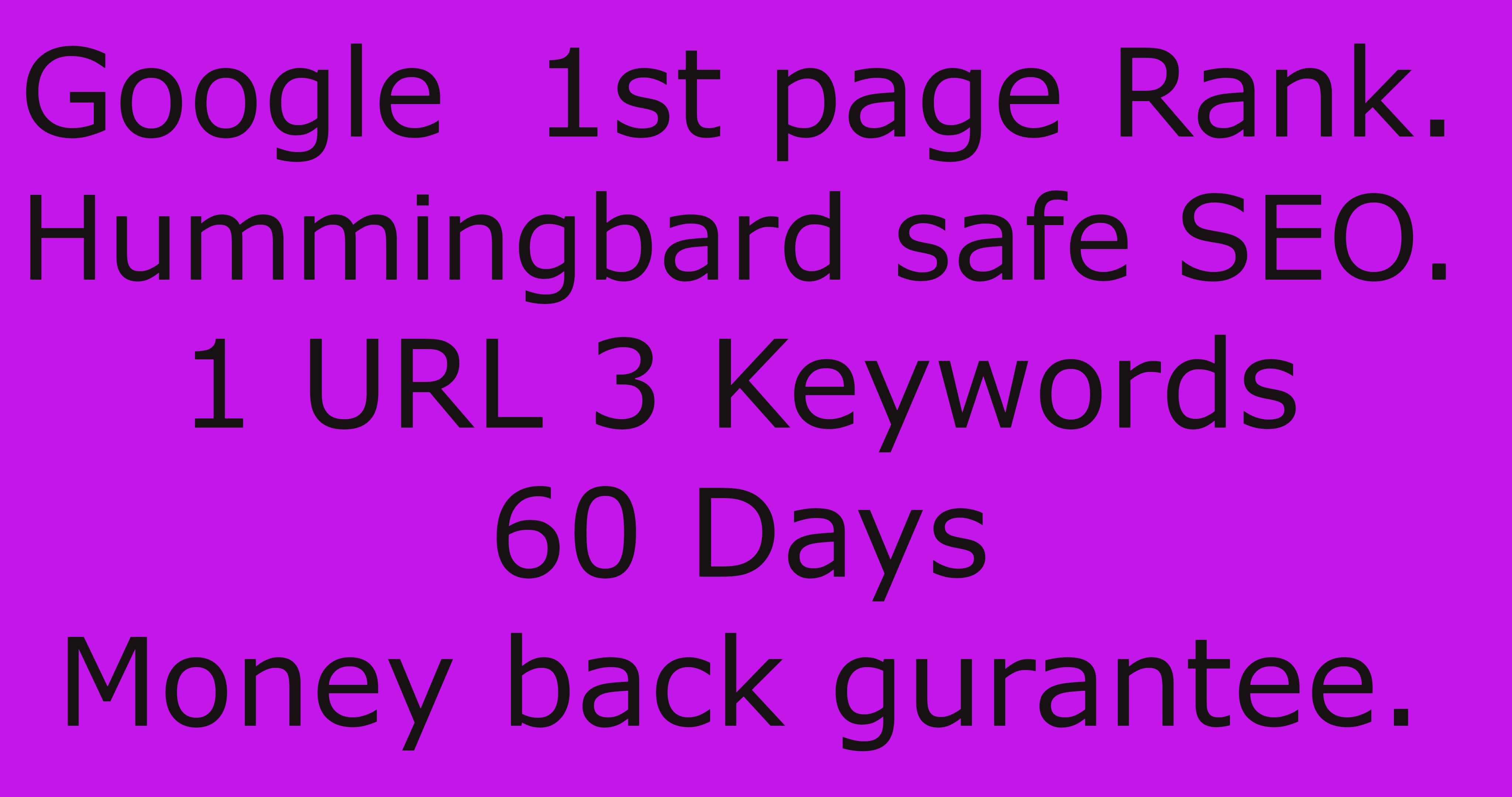 Rank your website or get back your money!!!!!!