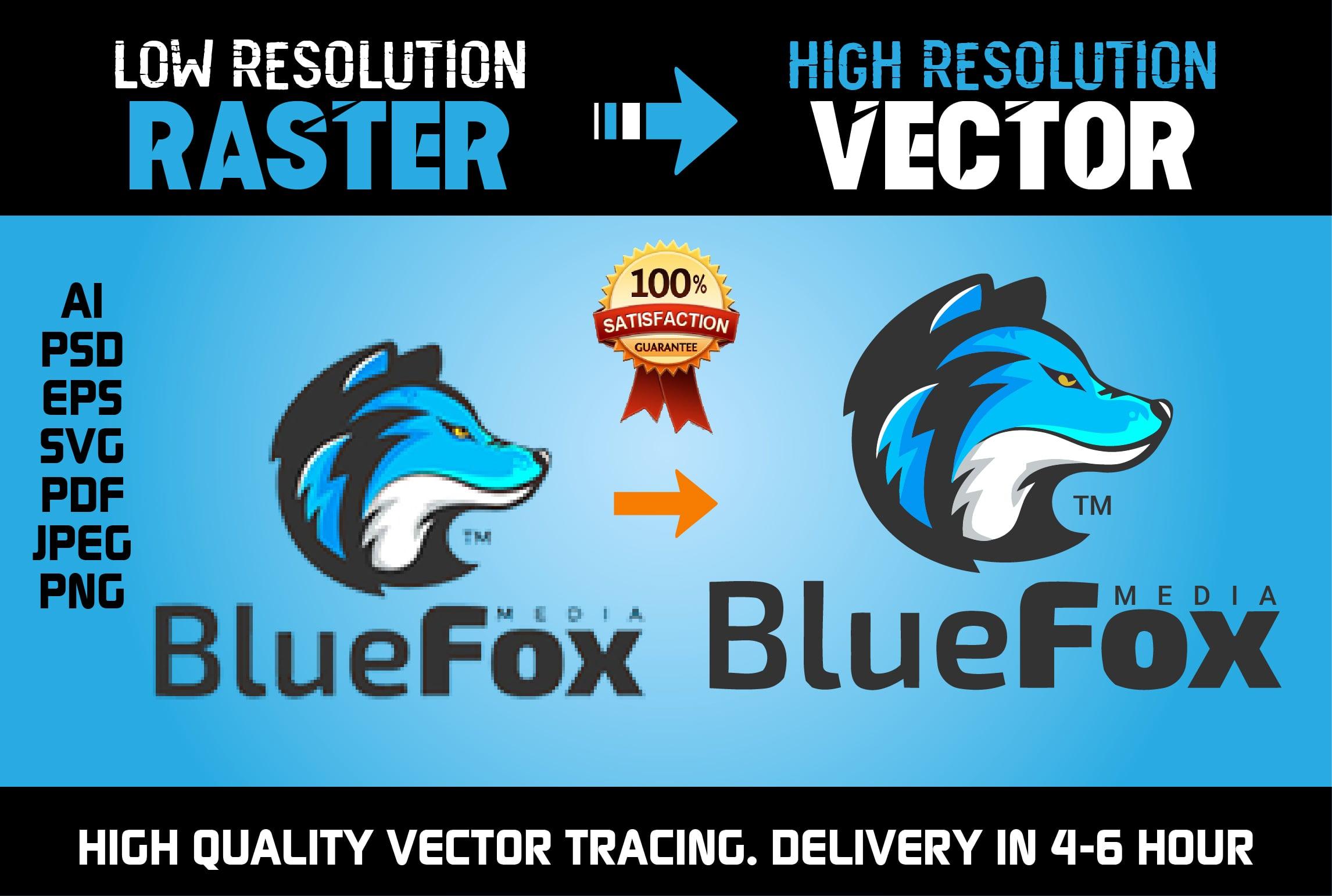 I will do Vector Tracing, Redraw or Convert to Vector Manually in 12H