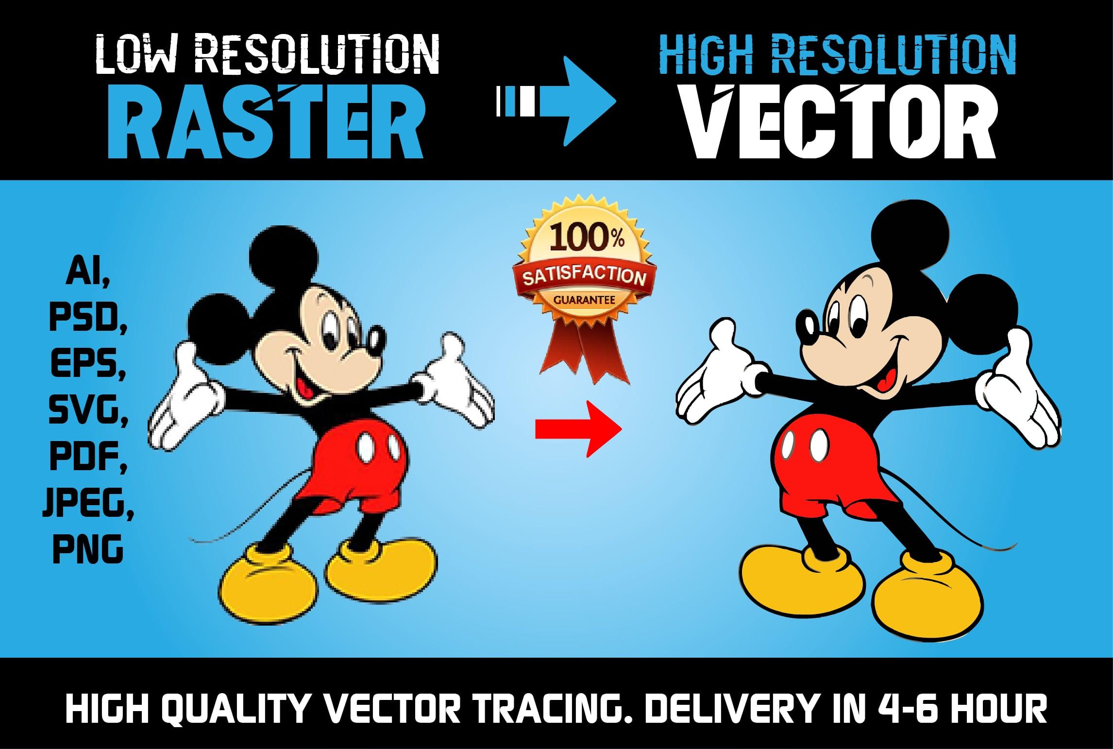 I will do Vector Tracing, Redraw or Convert to Vector Manually in 12H