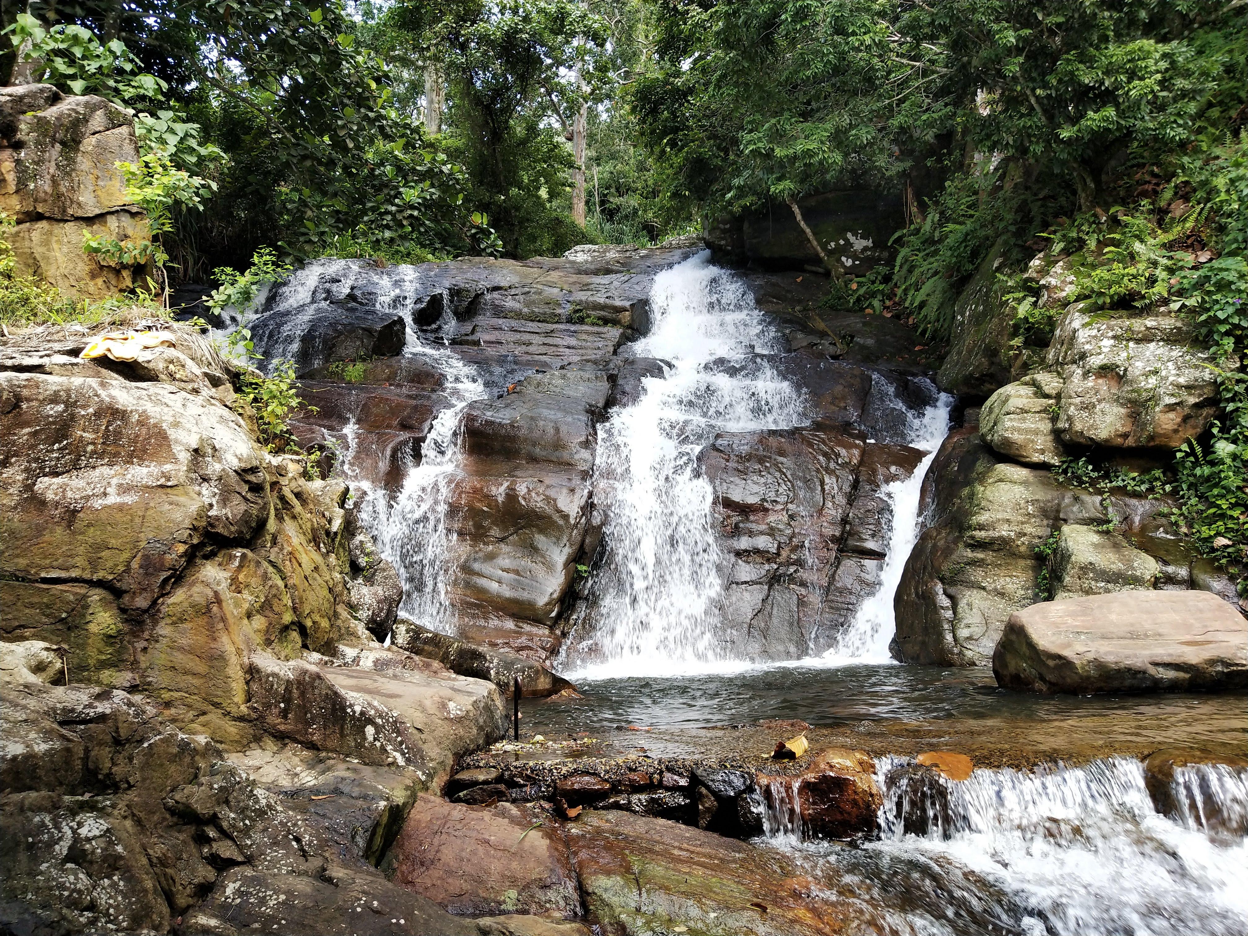 50 high-quality nature Digital photos 