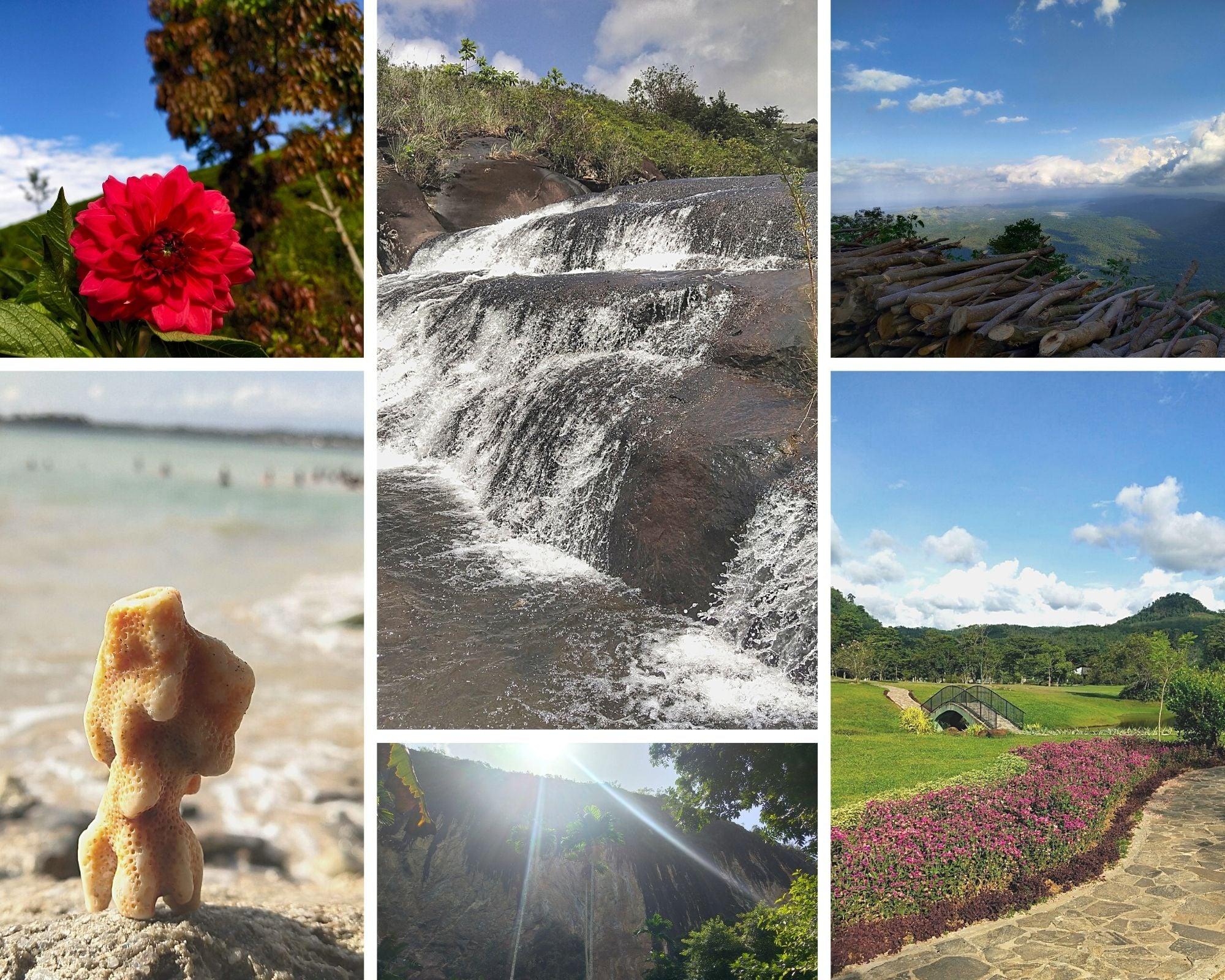 50 high-quality nature Digital photos 