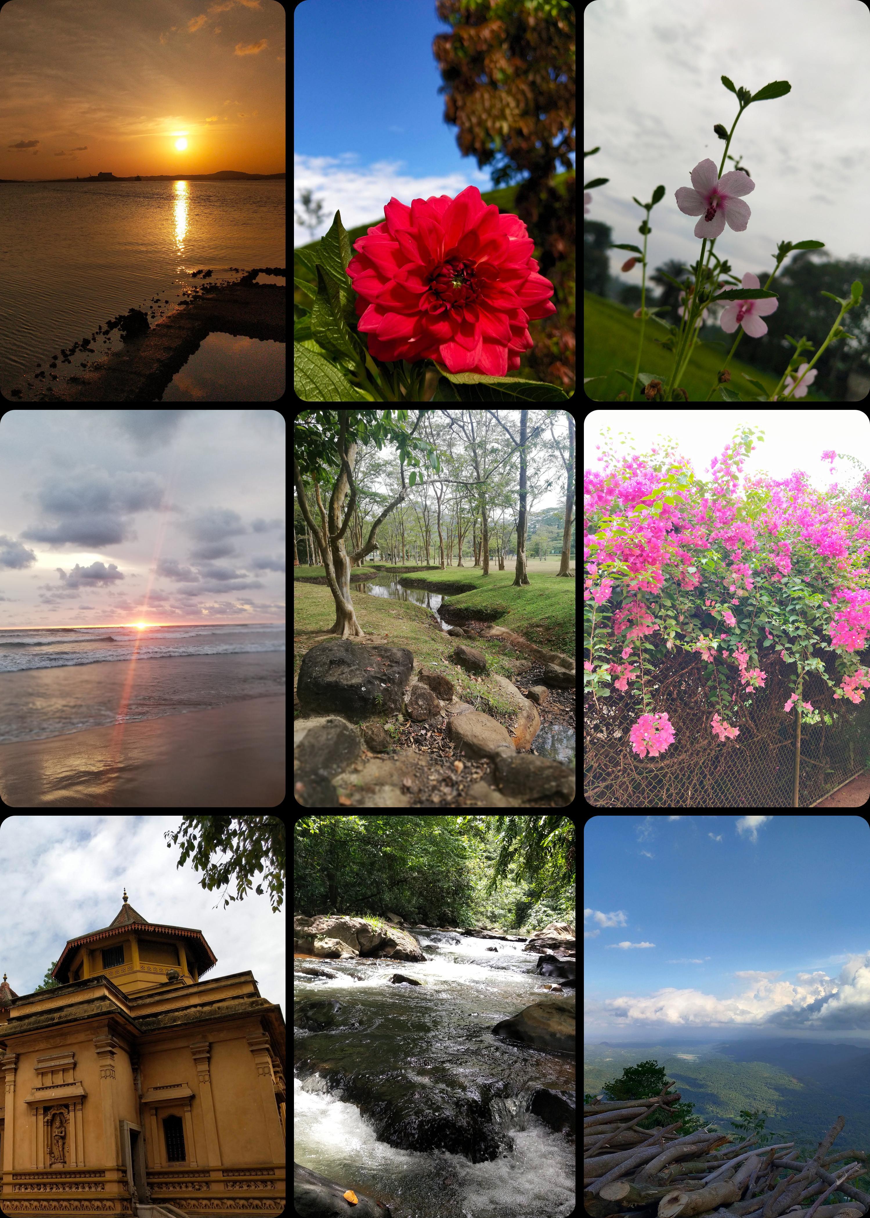 50 high-quality nature Digital photos 