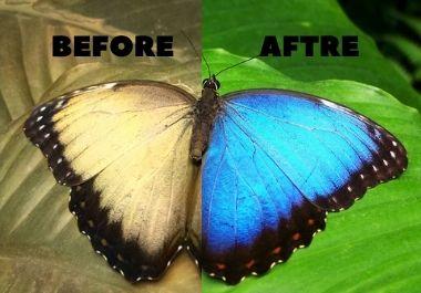 I colorize your black and white 5 photo