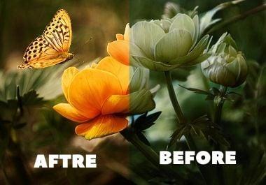 I colorize your black and white 5 photo