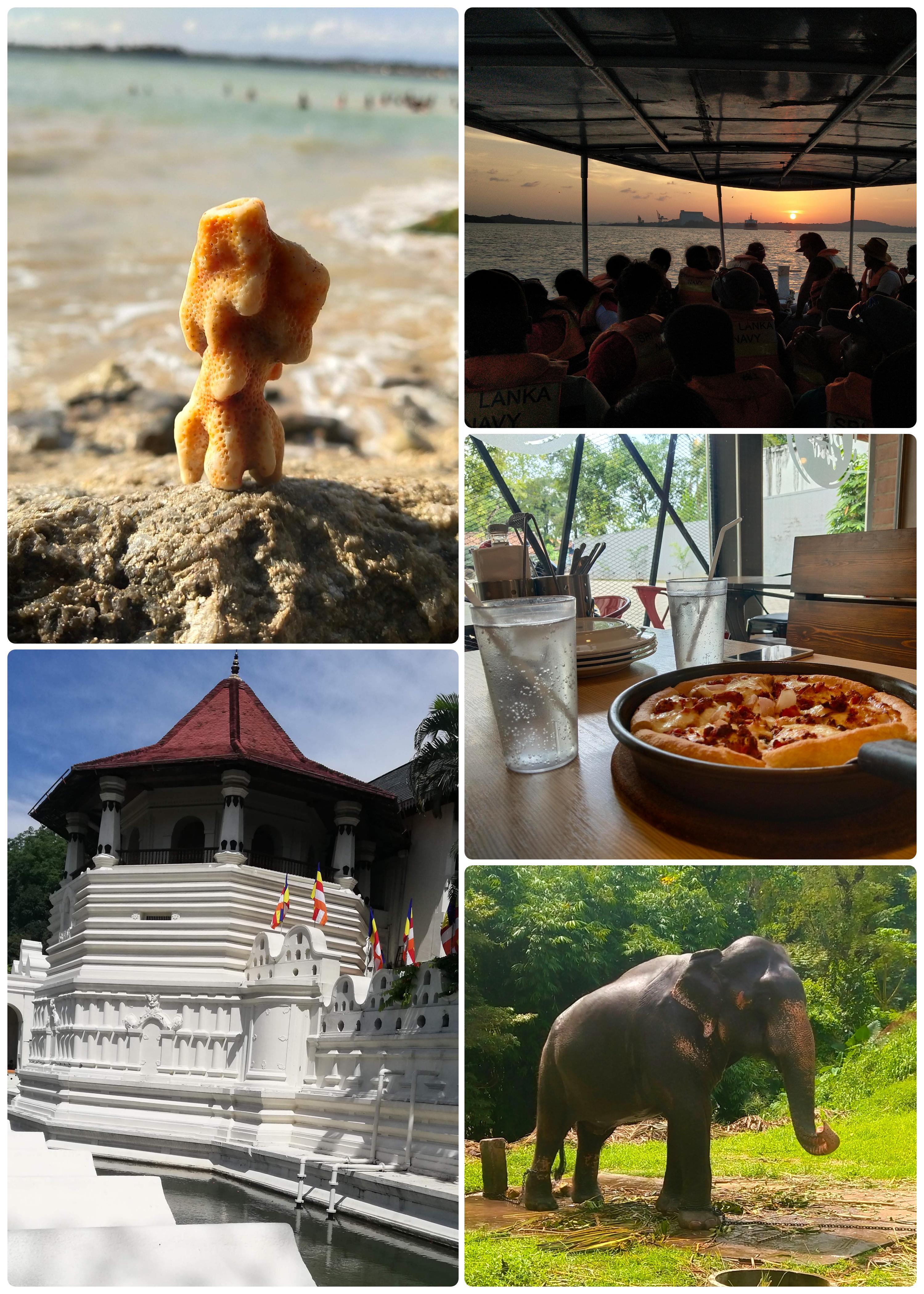 50 high-quality nature Digital photos 