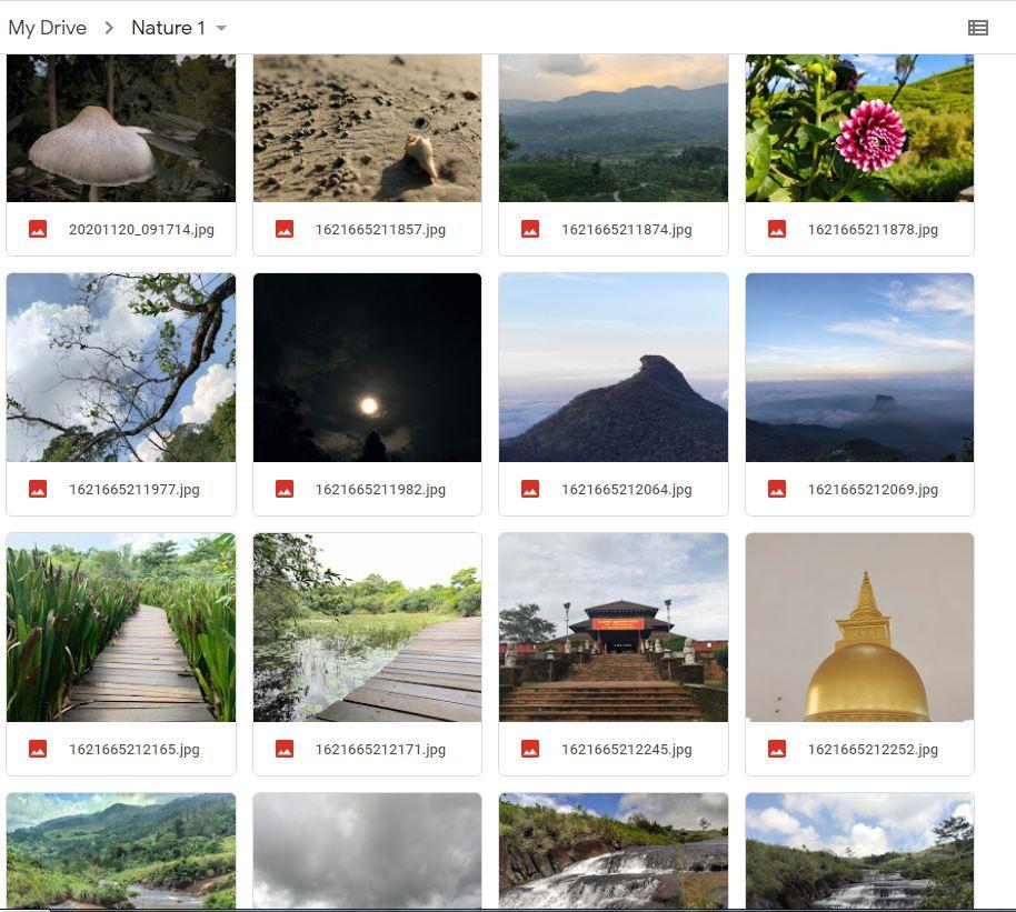 50 high-quality nature Digital photos 