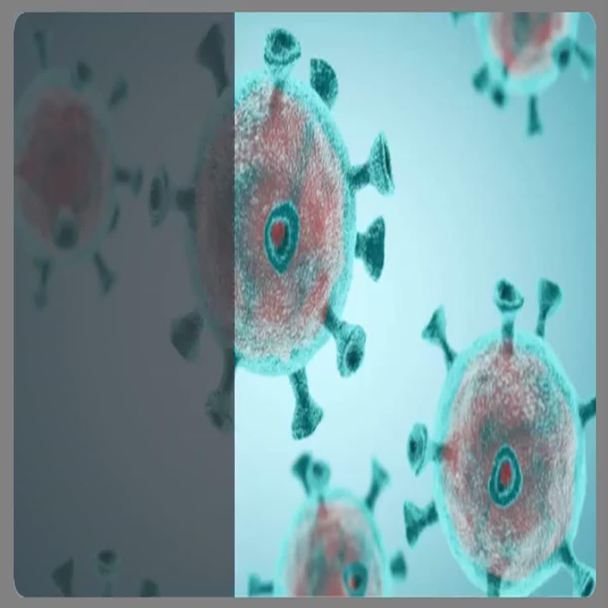 Making custom video for customer Websites and business