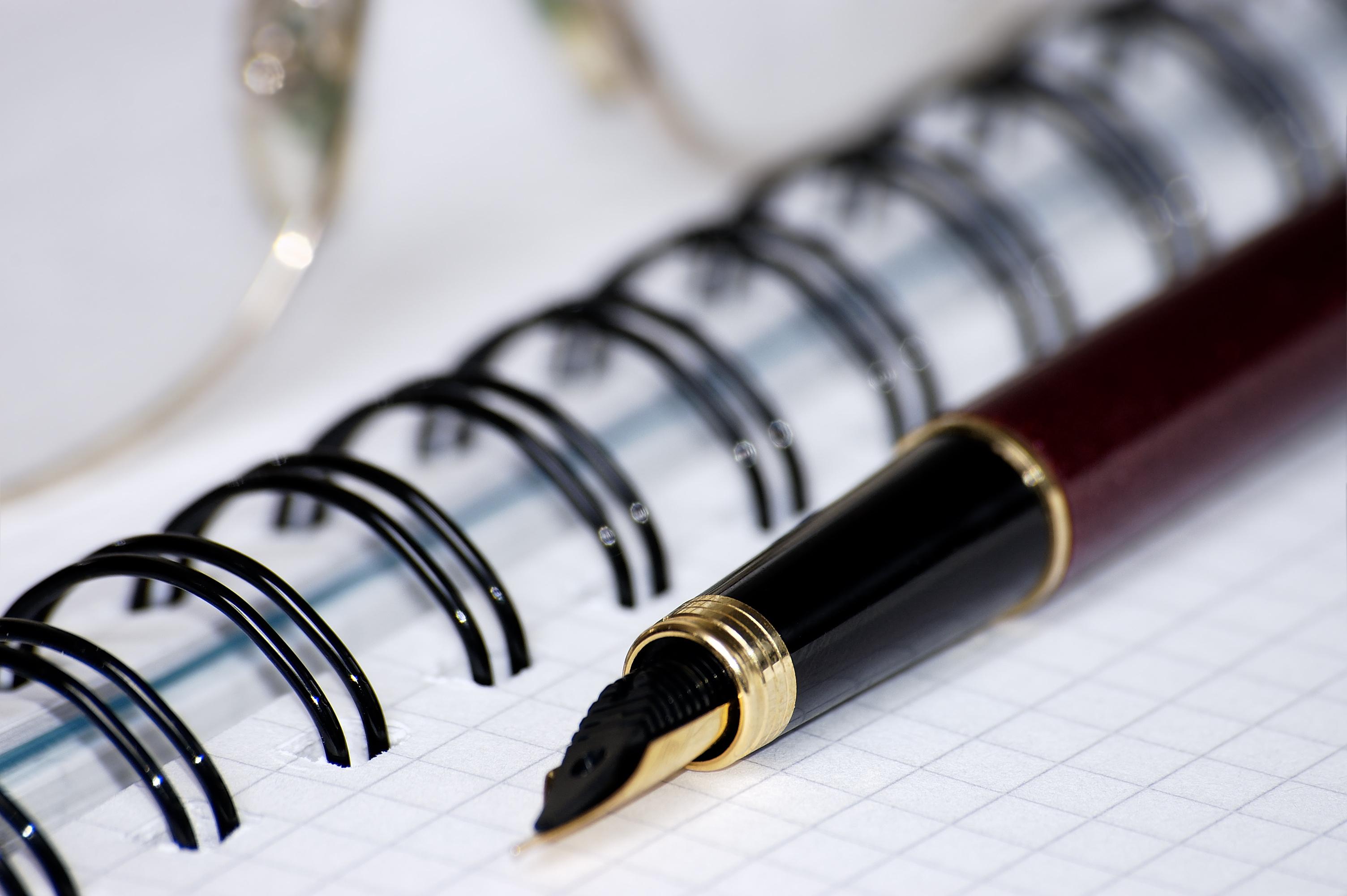 write 1000 a unique article Writing or blog post in English for any topic