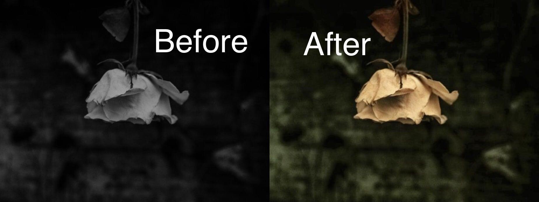 I will colorize your black and white photo within 8 hours