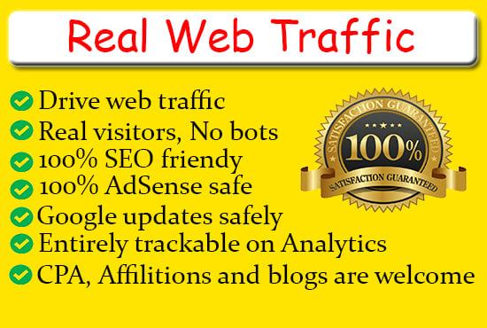 I will drive organic web traffic