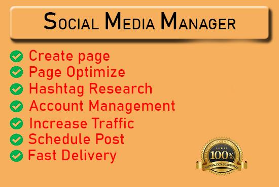 Will be your professional social media manager