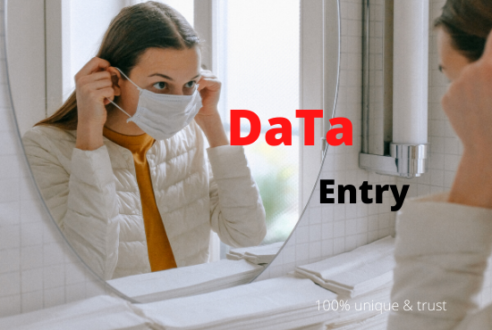 Excel spreadsheet data entry accurately and efficiently