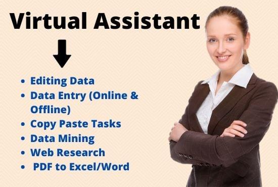 I will be your virtual assistant for any type of data entry, data mining, web research.