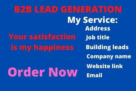 I will do b2b Lead Generation, web research and Data entry