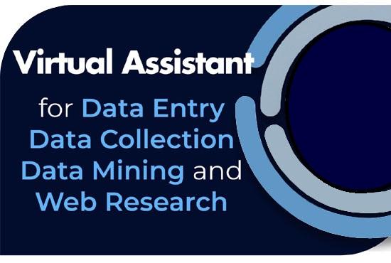 I will do for you data entry, data mining, copy paste and web research