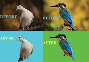 I will do background removal and transph 