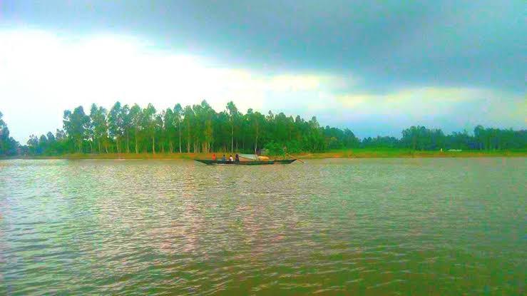 Writing a 500 word article about nature