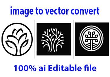 I will vector,redraw,convert your logo, image or graphic to vector files