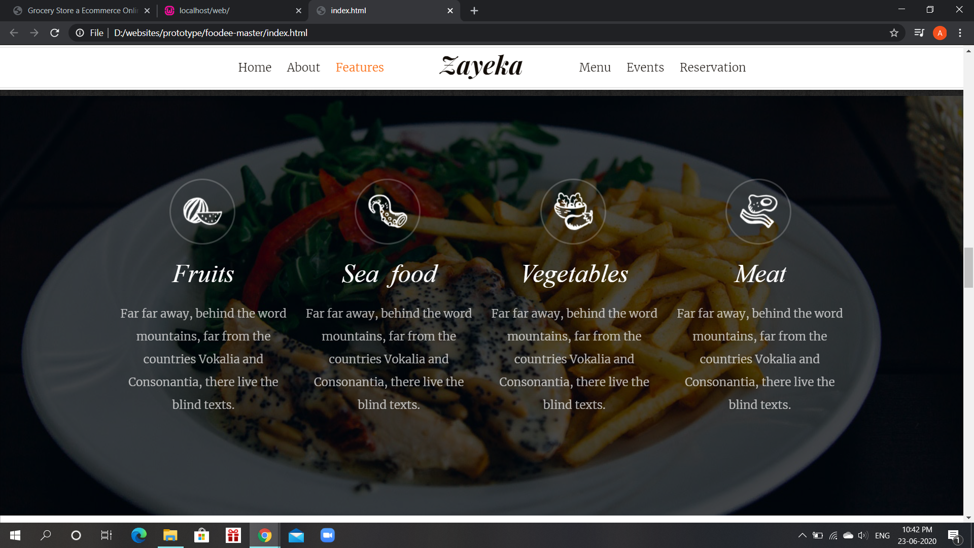 Experienced Professional Website Designer