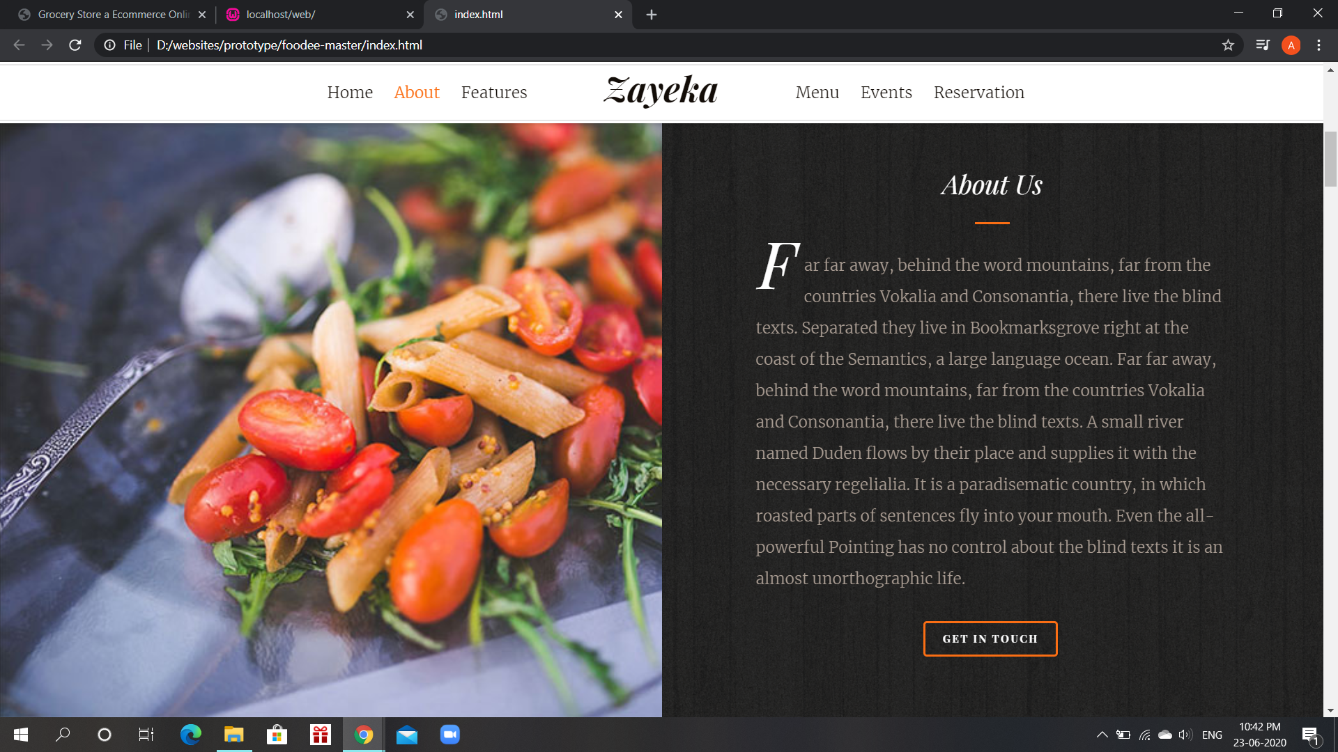 Experienced Professional Website Designer