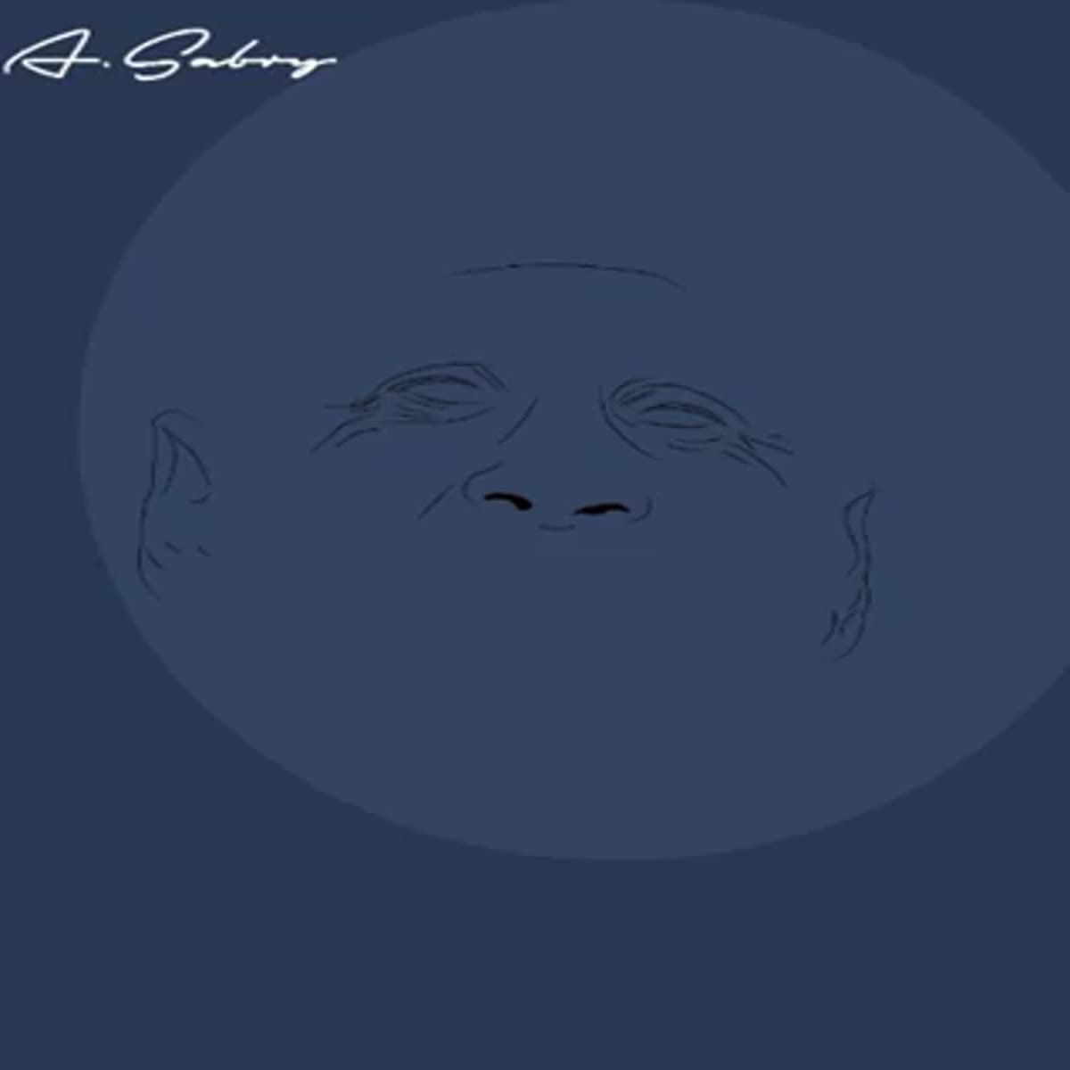 I will do perfect vector art, portrait from your photo 