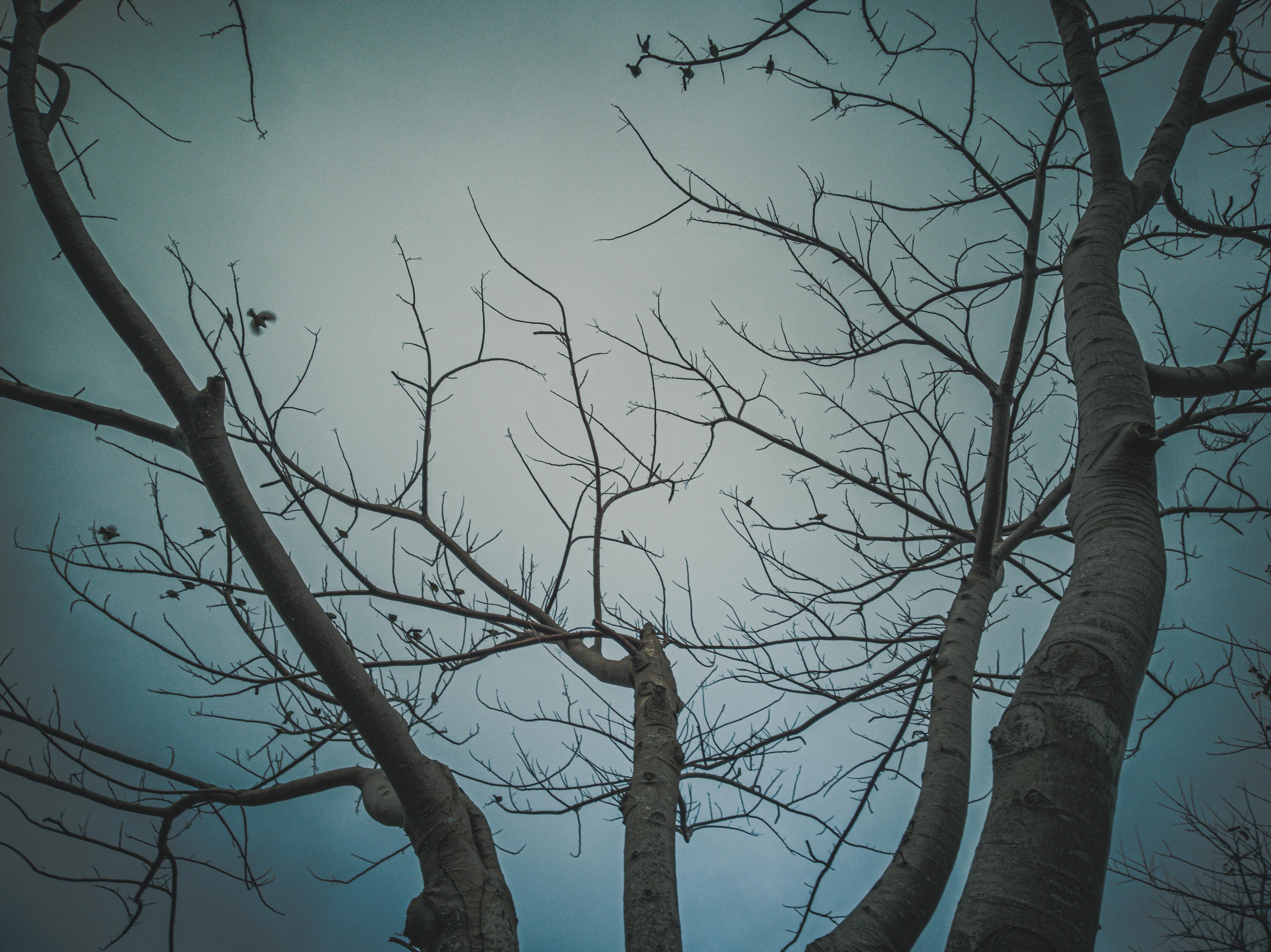 Creating a quality video and photo content for your Professional needs