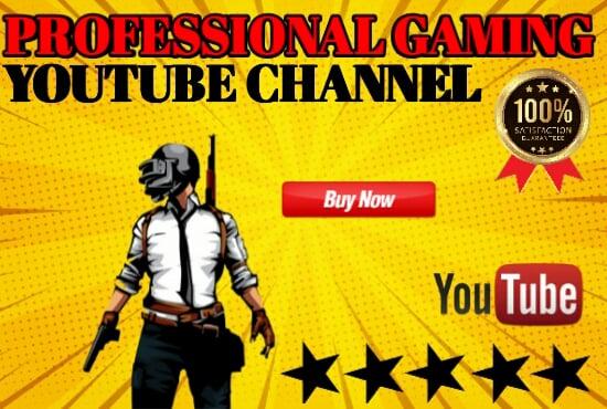 I will create a professional gaming channel 