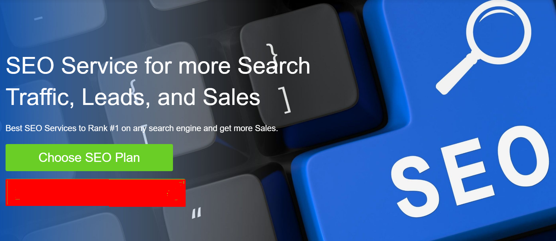 Improve Search Engine Ranking - Get our SEO Services