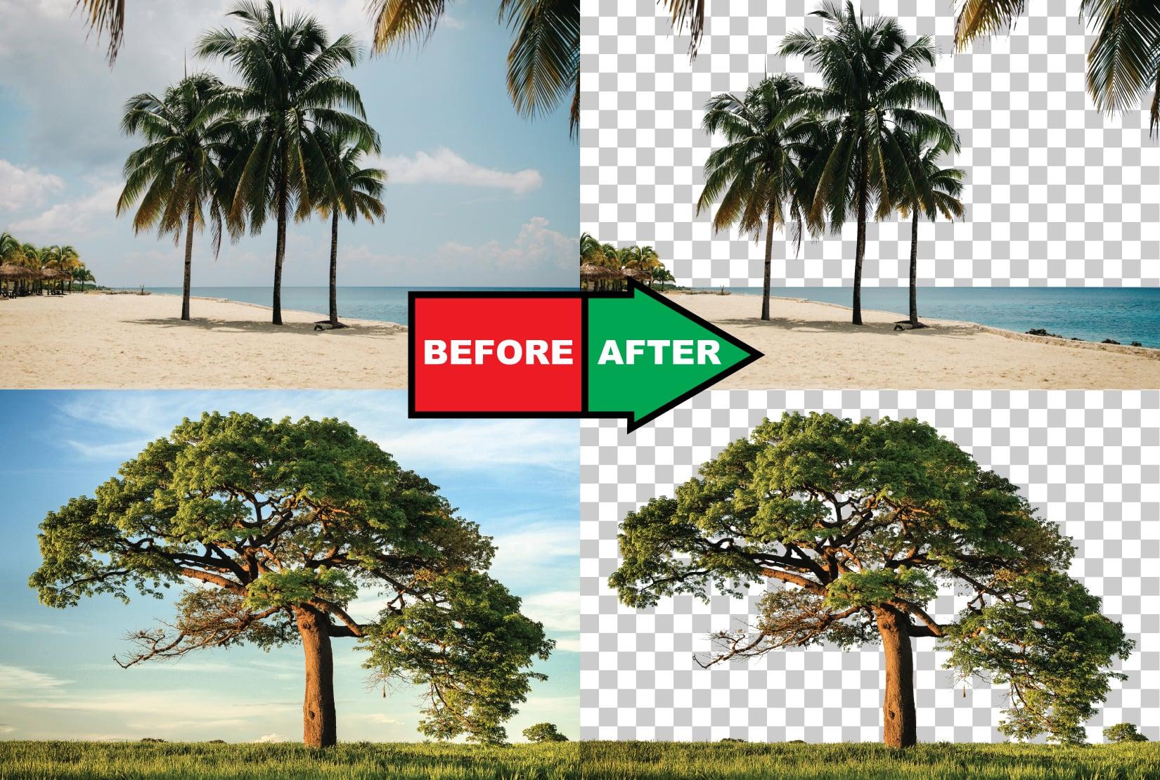 I will cut out or background remove from image