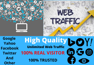 I Will Provide Unlimited Real Human Traffic By Google And Other Social Media 