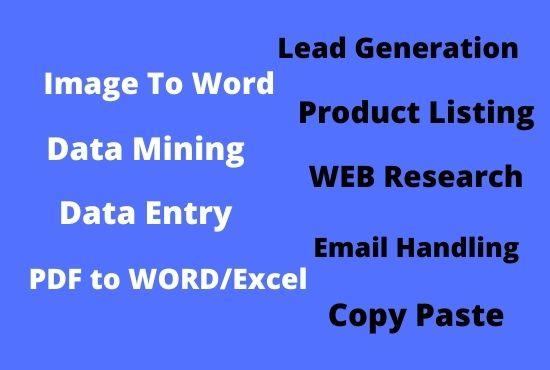 Virtual assistant for web research, Data entry, Web scraping & lead generation