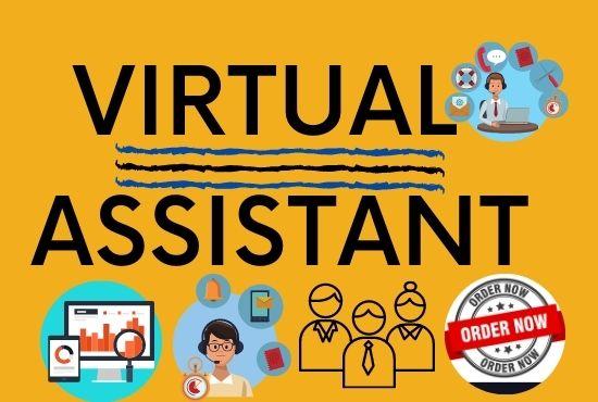 Virtual assistant for web research, Data entry, Web scraping & lead generation