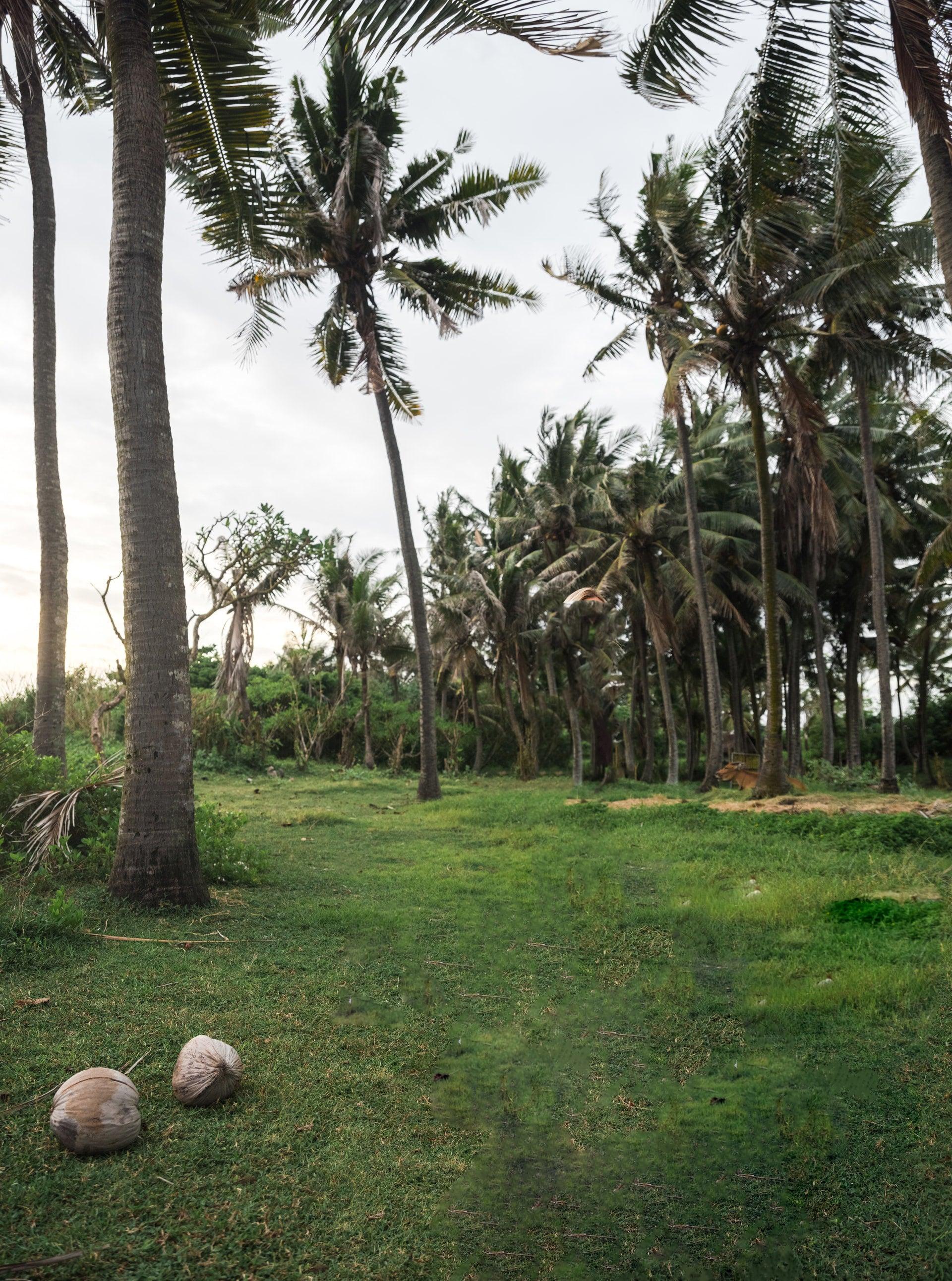 I will add or background Removed,person removed, Removal anyone , photo Editing, amazon"5 Image"