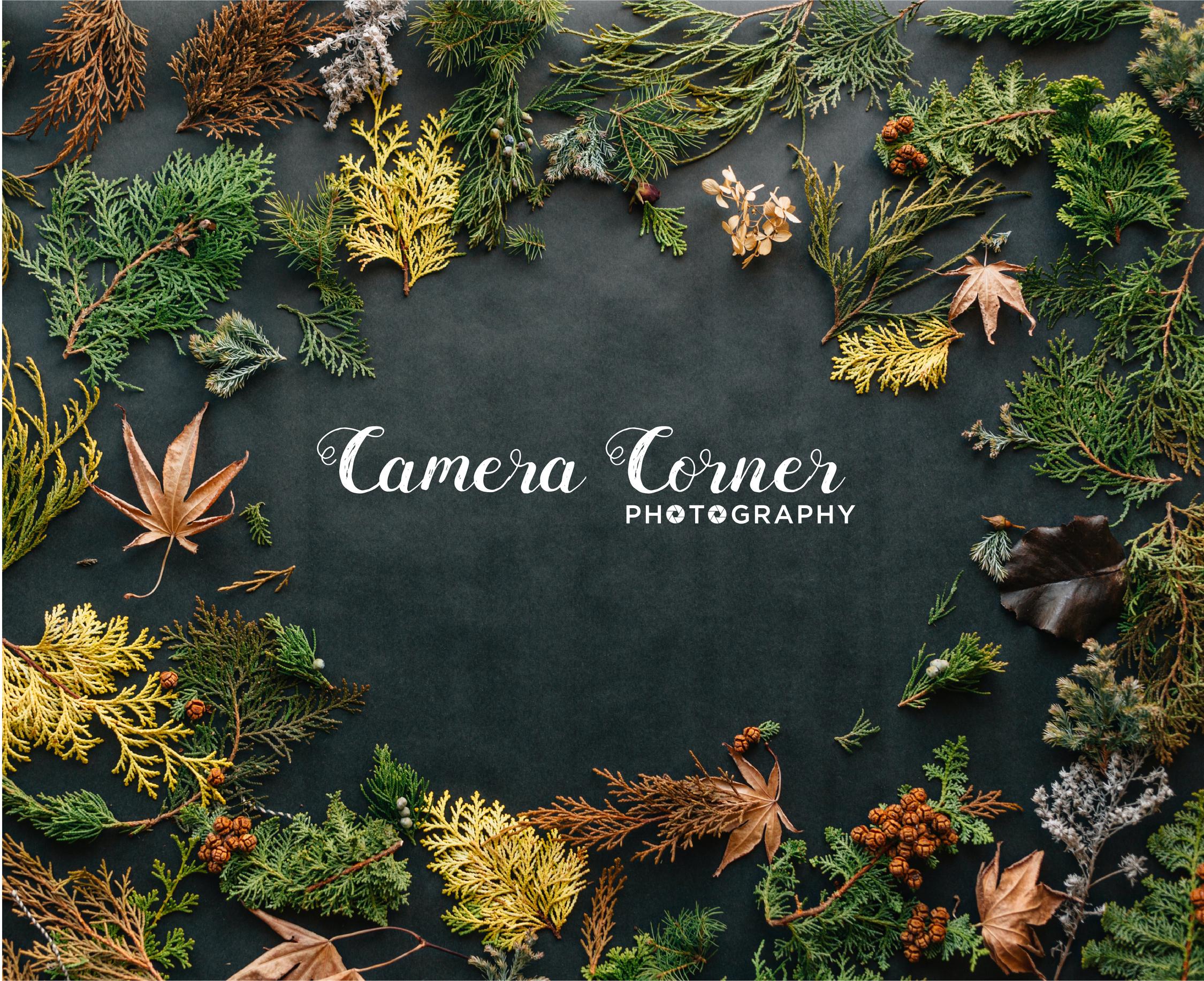 I will design hand drawn fancy real estate signature logo and branding logo unique logo.