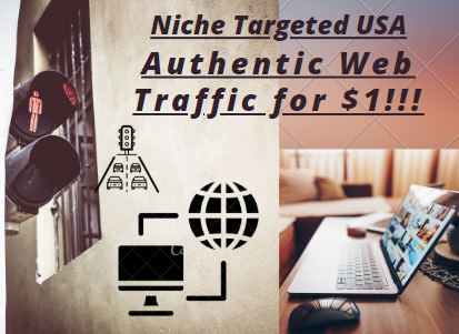 Niche Targeted USA Authentic Web Traffic 