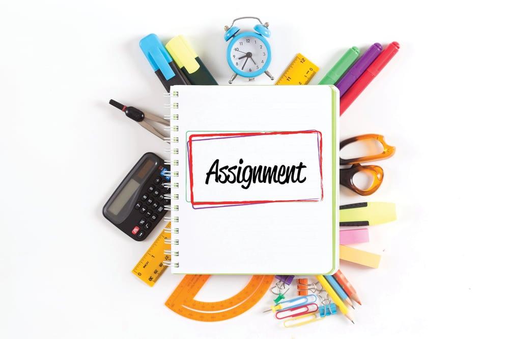 I will write and design your any type of assignment at your price