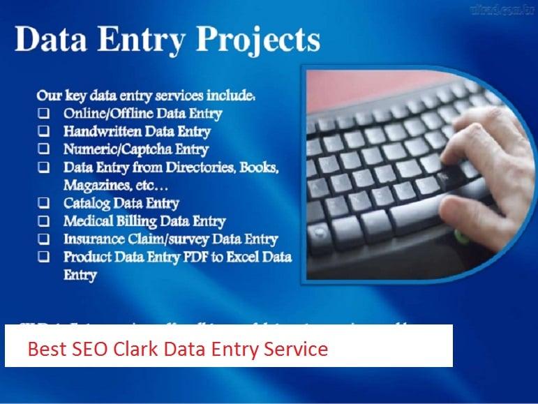 I will do professional typing job, data entry work, PDF to word.