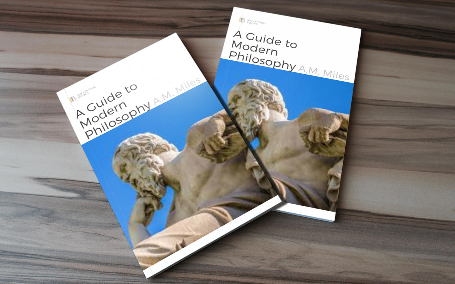 I will design a professional book cover or ebook cover just for you